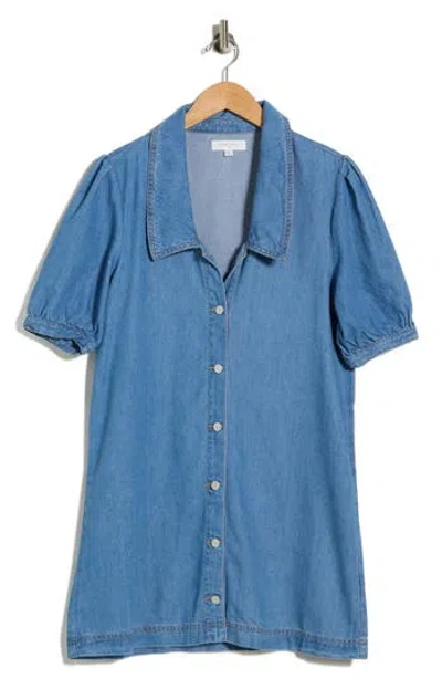 Habitual Collared Dress