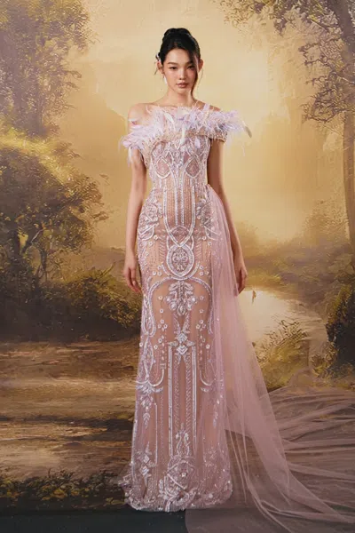 Hacchic Feather-embellished Gown In Pink