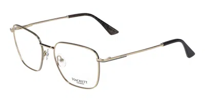 Hackett 1291 Men's Glasses, Gold, Size 54