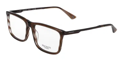 Hackett 1301 Men's Glasses, Brown, Size 56