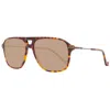 Hackett Acetate Men's Sunglasses In Brown
