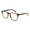 Hackett Brown Men Optical Frames In Brown