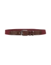 Hackett Man Belt Burgundy Size L Polyester, Rubber, Cow Leather In Brown