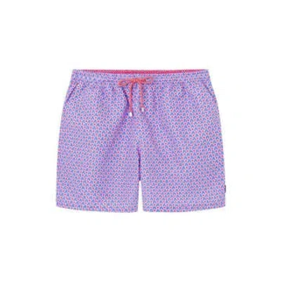 Hackett Swim Shorts In Purple