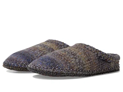 Haflinger As Tricote