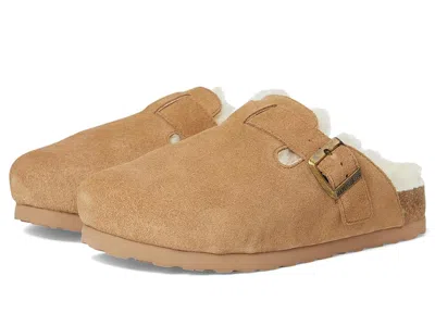 Haflinger Hawk In Brown