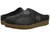 Haflinger Spirit In Multi