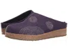 Haflinger Spirit In Multi