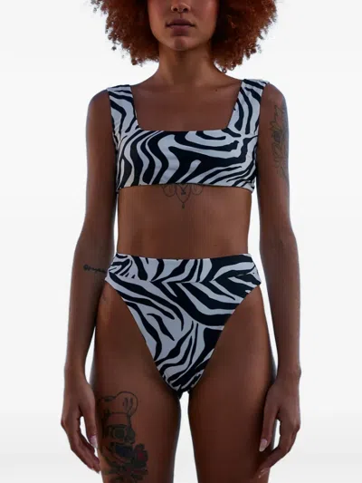 Haight Beta Zebra-print Bikini Bottoms In Multi