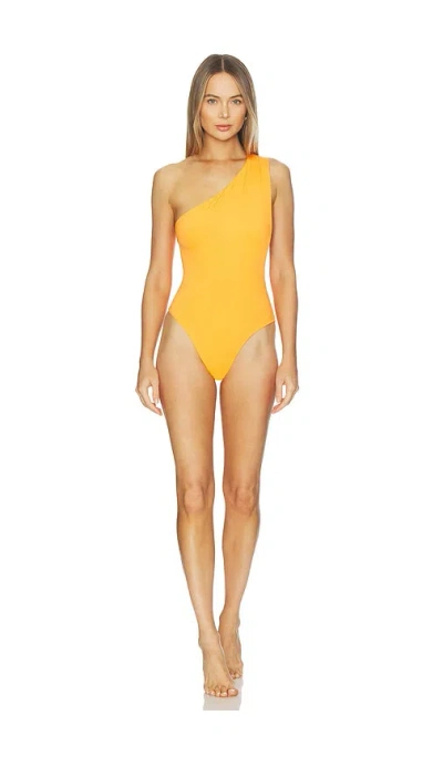 Haight Luisa Swimsuit In Multi