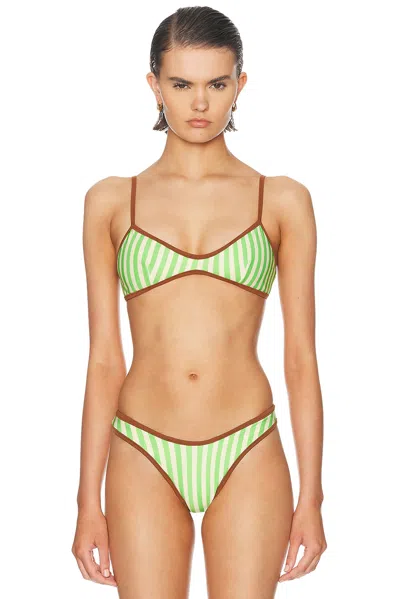 Haight Pipping Cris Bikini Top In Rapture Green Stripes