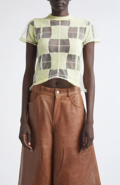 Haikure Hane Sheer Check Short Sleeve Sweater In Green