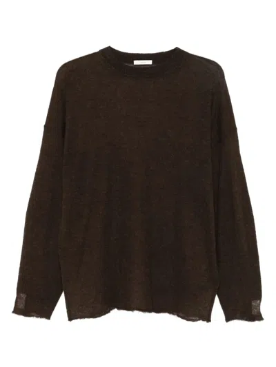 Haikure `marwa` Sweater In Brown
