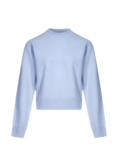 Haikure Rose Ribbed-knit Crew-neck Sweater In Blue