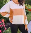 HAILEY & CO STATUS QUO BOXY LONG SLEEVE TOP IN BROWN/WHITE