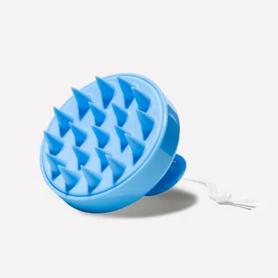 Hairstory Ws Massaging Scalp Brush - Blue