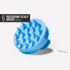 Hairstory Ws Massaging Scalp Brush Case Blue (6)