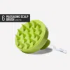 Hairstory Ws Massaging Scalp Brush Case Citron (6)