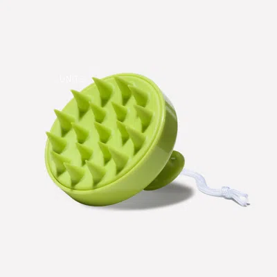 Hairstory Ws Massaging Scalp Brush - Citron