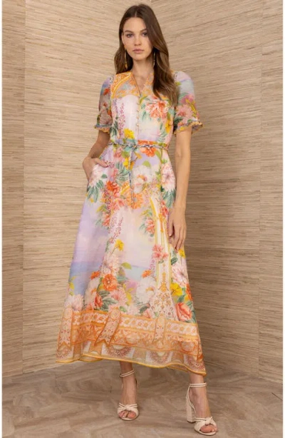 Hale Bob Cyrilla Linen Organza Maxi Dress In Multi