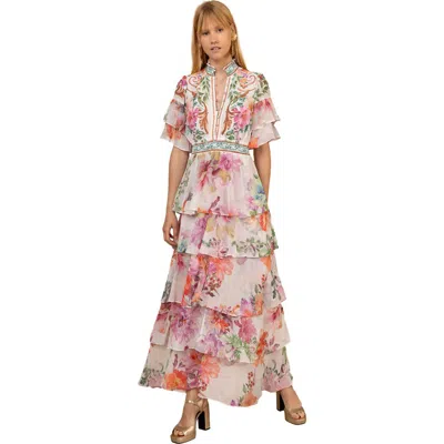 Hale Bob Itzayana Chiffon Maxi Dress In Pink