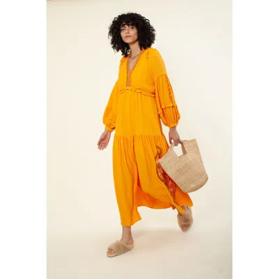 Hale Bob Josephine Embroidered Maxi Dress In Gold