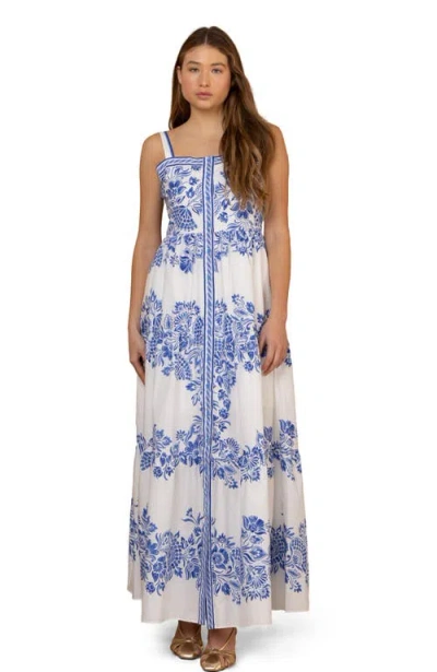 Hale Bob Jream Cotton Poplin Maxi Dress In Multi
