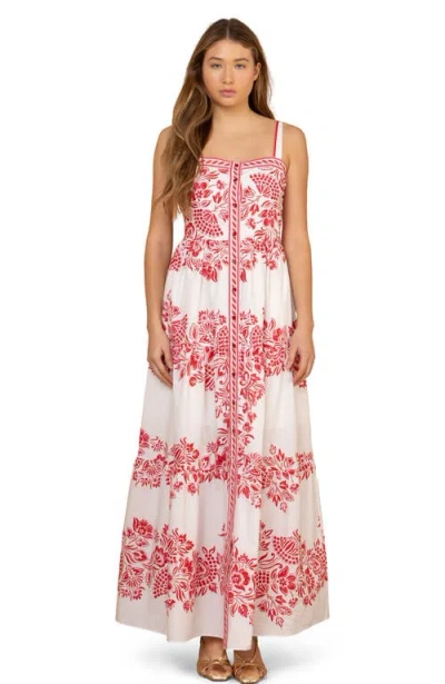 Hale Bob Jream Cotton Poplin Maxi Dress In Multi