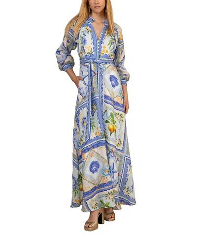 Hale Bob Lakelynn Linen Maxi Dress In Blue