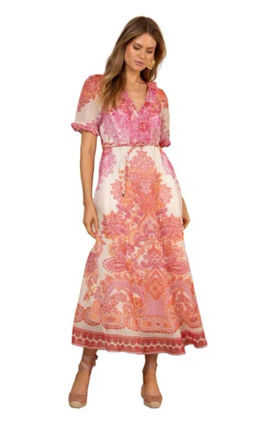 Hale Bob Micah Organza Maxi Dress In Pink