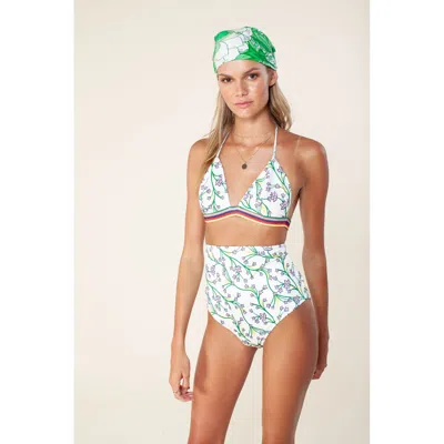 Hale Bob Nola Bikini Top In Multi