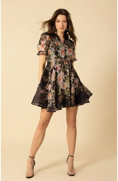 Halebob Haley Organza Dress Short In Black