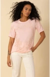 Halebob Itzel Top In Pink