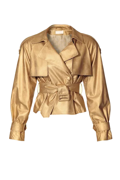 Halewski Jacket Collins Gold In Black