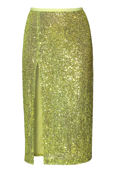 Halewski Skirt Zuza Lemon Sparkle In Smoke Grey