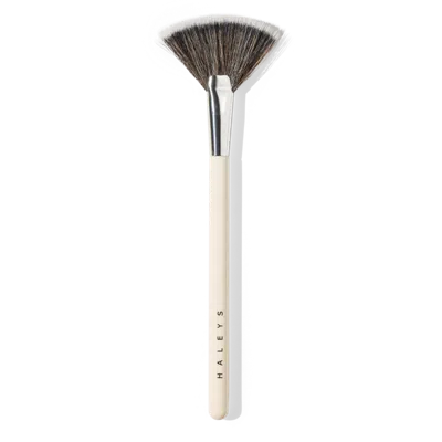 Haleys Beauty Fan Brush