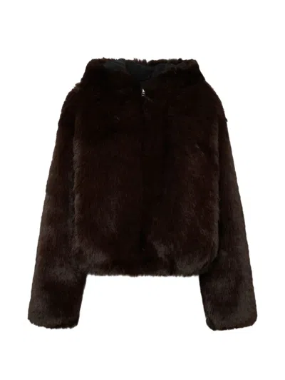 Halfboy Long-sleeves Jacket In Brown