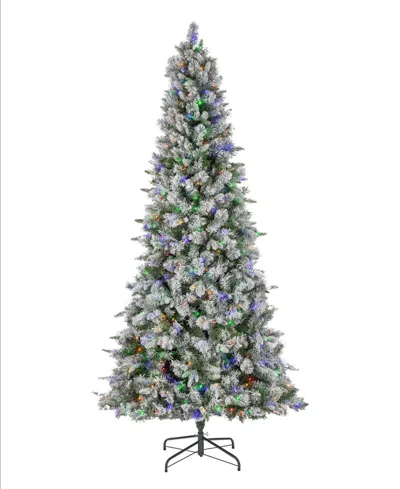 Hallmark 9 Ft Pre-lit Natural Cut Lightly Flocked Artificial Pine Tree In Green