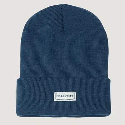 Hallstatt Workwear Mens Beanie In Blue