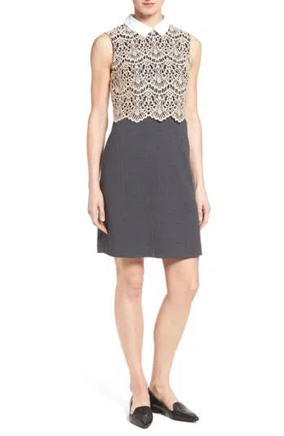 Halogen ® Sleeveless Lace Bodice Minidress In Gray