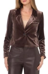 Halogen ® Velvet Crop Blazer In Brown