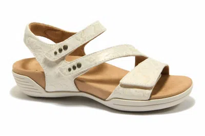 Halsa Footwear Women's Denia Sandal In Ivory In Beige