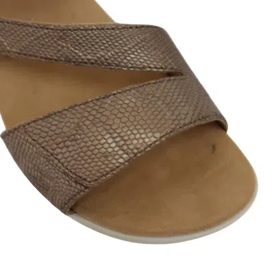 Halsa Footwear Women's Denia Sandals In Bronze In Gold