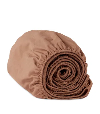 Hamam Organic Cotton Sateen Core King Fitted Sheet In Brown