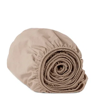 Hamam Organic Cotton Sateen Core Super King Fitted Sheet In Brown