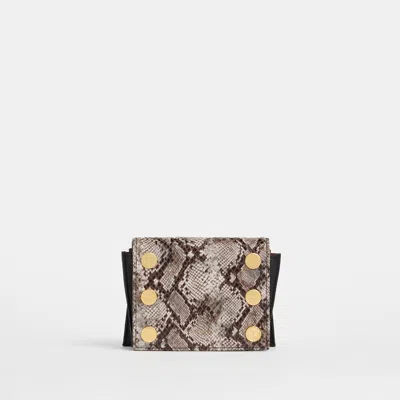 Hammitt Allen Wallet Contrast Snake Brushed Gold
