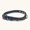 Hammitt Cam Black Gunmetal Lrg