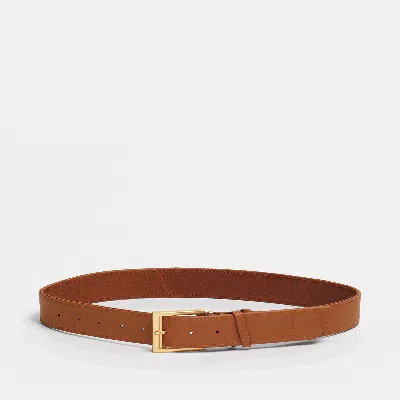 Hammitt Charlie Rev Manzanita Tan Brushed Gold Med In Brown