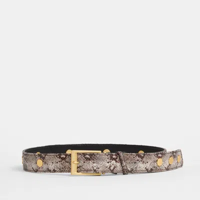 Hammitt Charlie Rev Riv Contrast Snake Brushed Gold Lrg