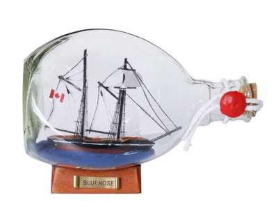 Handcrafted Cast Iron Bluenose Sailboat In A Glass Bottle 7"